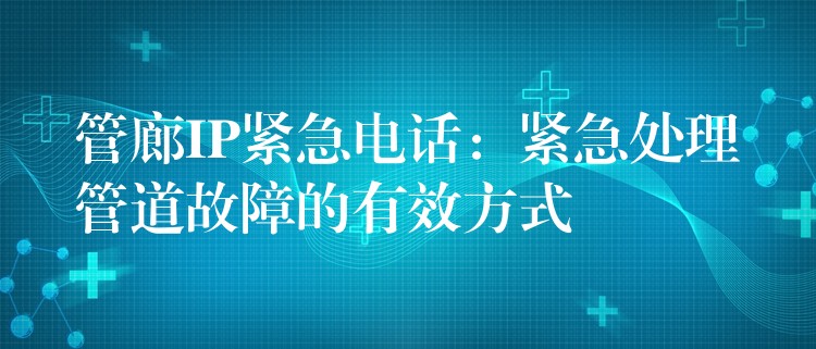  管廊IP緊急電話：緊急處理管道故障的有效方式