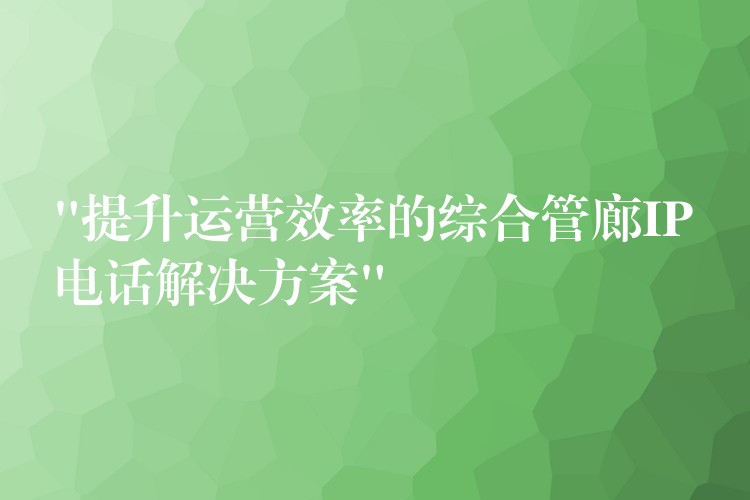  “提升運(yùn)營(yíng)效率的綜合管廊IP電話解決方案”