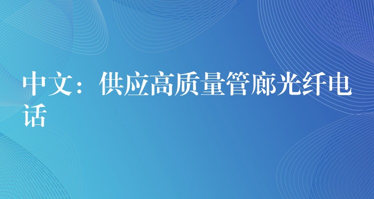  中文：供應高質(zhì)量管廊光纖電話