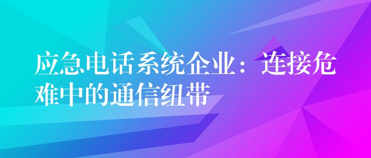  應(yīng)急電話(huà)系統(tǒng)企業(yè)：連接危難中的通信紐帶