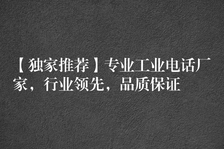  【獨(dú)家推薦】專業(yè)工業(yè)電話廠家，行業(yè)領(lǐng)先，品質(zhì)保證