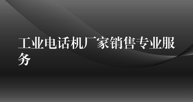  工業(yè)電話機(jī)廠家銷售專業(yè)服務(wù)