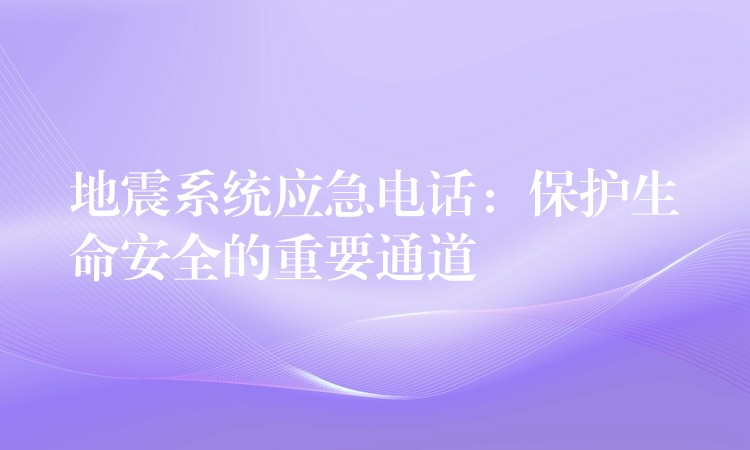  地震系統(tǒng)應(yīng)急電話：保護生命安全的重要通道