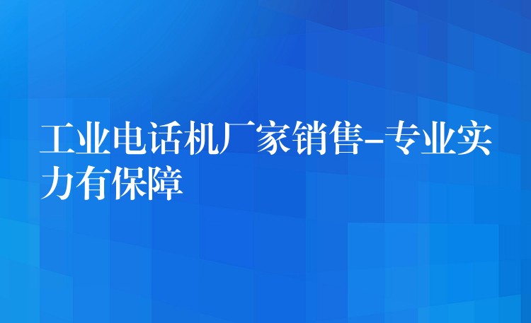 工業(yè)電話機廠家銷售-專業(yè)實力有保障